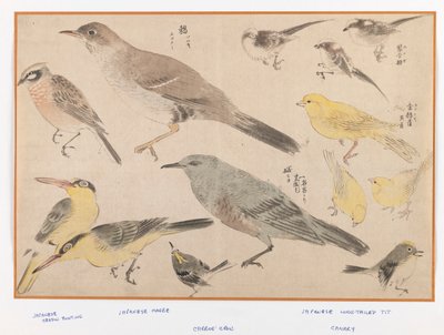 Birds in Okyo Style (fatömb színes nyomat) alkotó: Japanese School