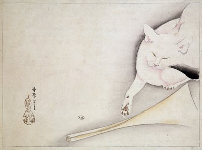 Macska, japán rajz, n.d. 19. század. alkotó: Japanese School