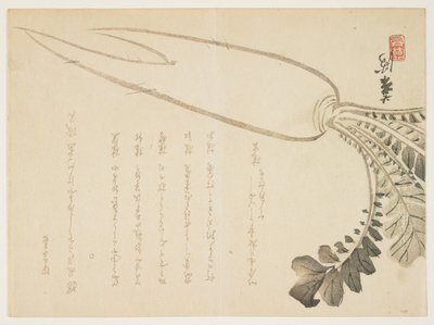 Daikon retek, 1864. január (színes fanyomat) alkotó: Japanese School