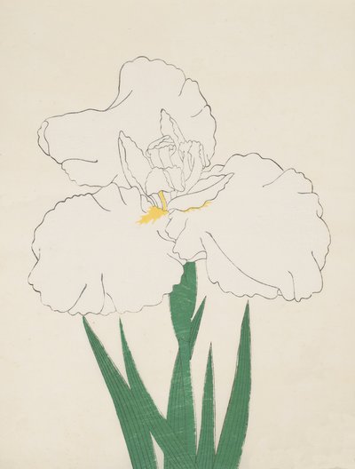 Fuji-nincs hó. 1890. 13 alkotó: Japanese School