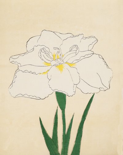 Haku-O-Den, 40. sz., 1890 (színes fatömbnyomat) alkotó: Japanese School