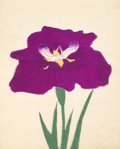 Hizumé. -Hyo. 1898. 29 alkotó: Japanese School
