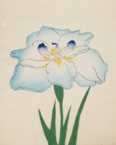Issui-No-Gin, No. 34, 1890 (színes fatömbnyomat) alkotó: Japanese School