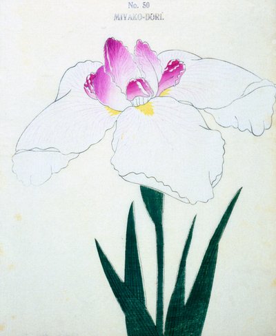 Mi a főváros? 50, 1898 alkotó: Japanese School