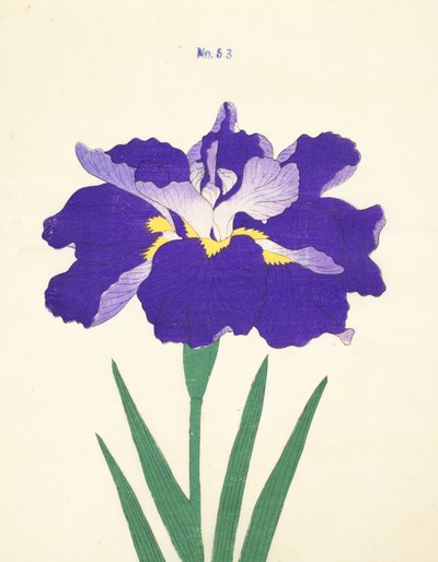 Saiwoga-Uma, No. 53, 1890 (színes fatömbnyomat) alkotó: Japanese School