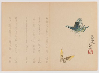 Két pillangó, 1860 körül (fatömbnyomat, vízszintes Chûban yoko-e formátum) alkotó: Japanese School