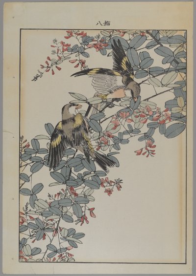 Két madár rózsaszín virágokkal, Meiji-korszak, 1868-1912 körül (színes fanyomat) alkotó: Japanese School