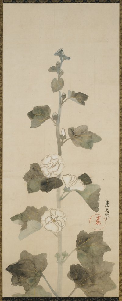 Fehér hollyhocks, Edo-korszak, 1615-1868 (tinta, árnyalat és arany papíron) alkotó: Japanese School