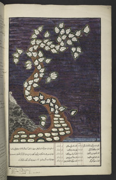 Vagy. 15932, f. 72r, Genealógiai táblázat Jáva uralkodóinak fája formájában, Ádámtól IV. Pakuwanáig (Surakarta) és IV. Mataramig (Yogykarta IV. Hamengkubuwana), jávai kéziratban, Papakem Pawukon alkotó: Javanese School
