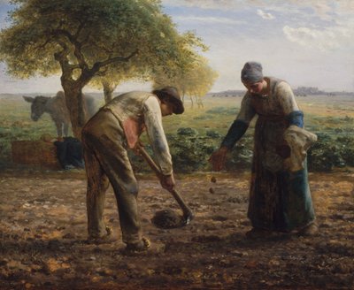 Burgonyaültetők alkotó: Jean-Francois Millet