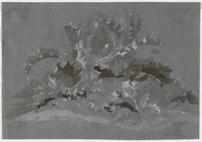 A gyomok tanulmányozása alkotó: Jean Antoine Linck