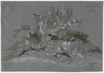 Tanulmány a gyomokról, 1800-1850. alkotó: Jean Antoine Linck