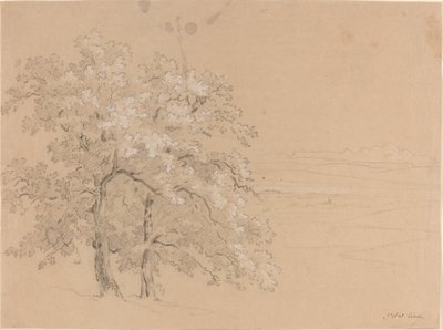 Napsütötte fák a panoráma táj előtt alkotó: Jean Antoine Linck