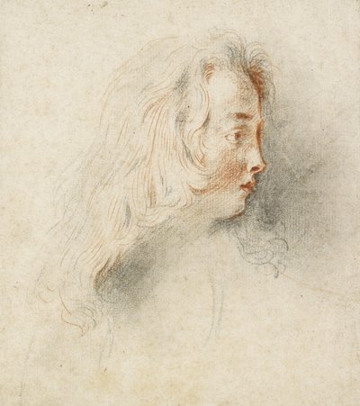 Egy fiú feje profilban (fekete-piros kréta foltos törtfehér papíron) alkotó: Jean Antoine Watteau