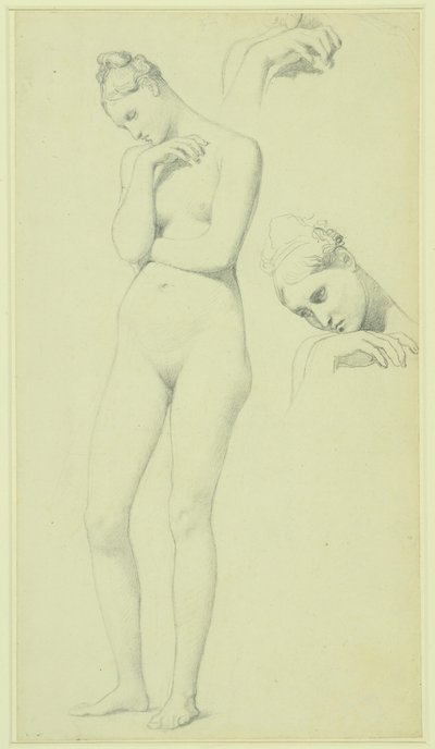 Stratonice figurájának tanulmányai, 1834-40 körül (ceruza, papír) alkotó: Jean Auguste Dominique Ingres
