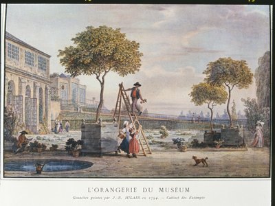 Az Orangerie a párizsi múzeumban 1794-ben alkotó: Jean-Baptiste Hilair