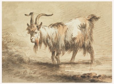 Rajz, Kecske tanulmánya, 1772 alkotó: Jean Baptiste Huet