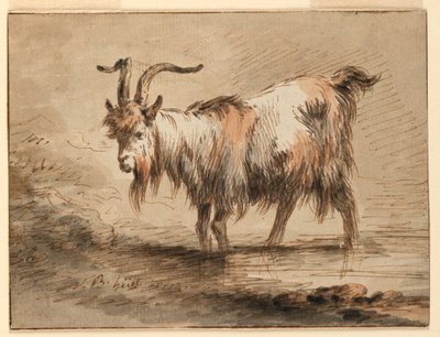 Rajz, Kecske tanulmánya, 1772 alkotó: Jean Baptiste Huet