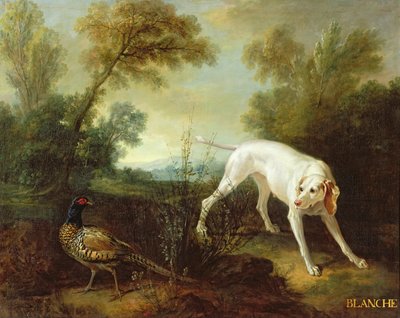 Blanche, a Királyi Vadászfalka szukája alkotó: Jean Baptiste Oudry