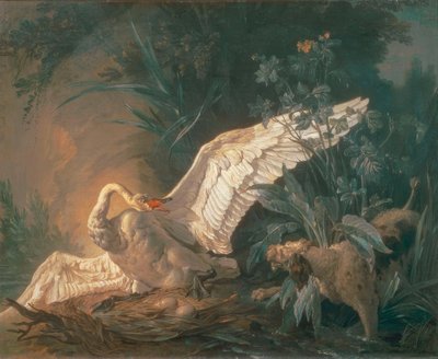 Barbet kutya megtámad egy hattyút a fészkében alkotó: Jean Baptiste Oudry