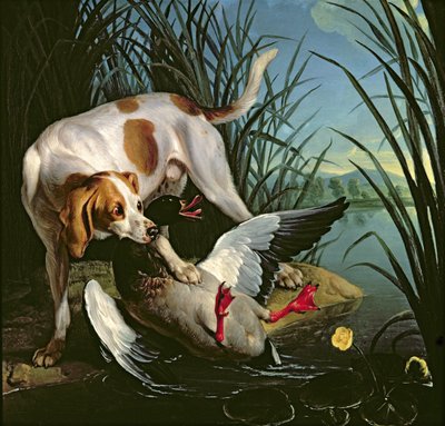 Kutya egy vadkacsával alkotó: Jean Baptiste Oudry
