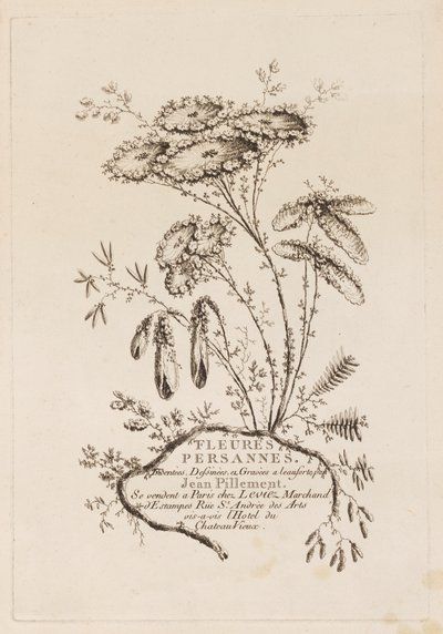 Címlap, a "Persian Flowers"-ből alkotó: Jean Baptiste Pillement