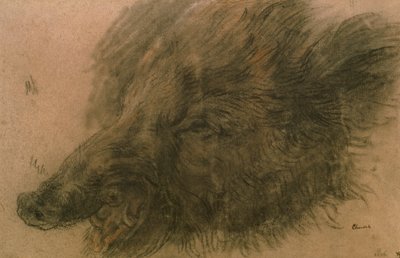Vaddisznó feje (faszén papíron) alkotó: Jean Baptiste Simeon Chardin