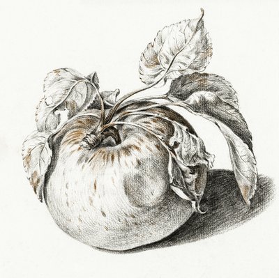 Apple alkotó: Jean Bernard