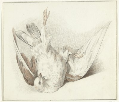 Döglött galamb alkotó: Jean Bernard