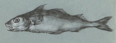 Fish Green (1775–1833) alkotó: Jean Bernard