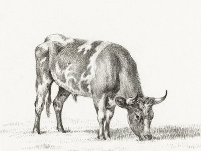 Legelésző bik alkotó: Jean Bernard
