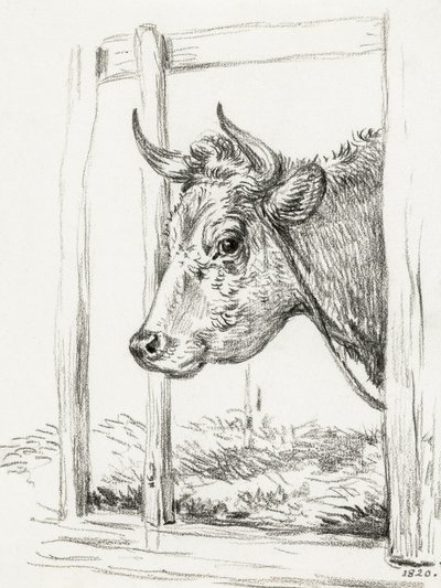 Tehénfej (1820) alkotó: Jean Bernard