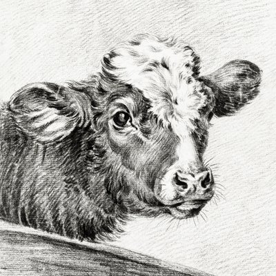 Tehénfej alkotó: Jean Bernard