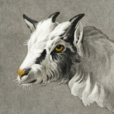Kecskefej alkotó: Jean Bernard