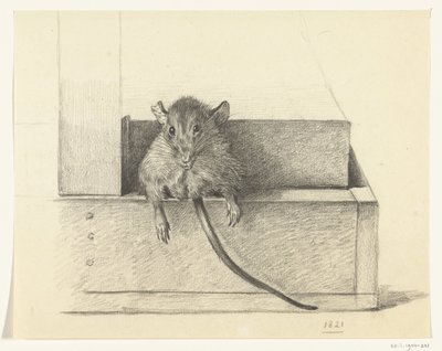 Egér (csapdában?) alkotó: Jean Bernard
