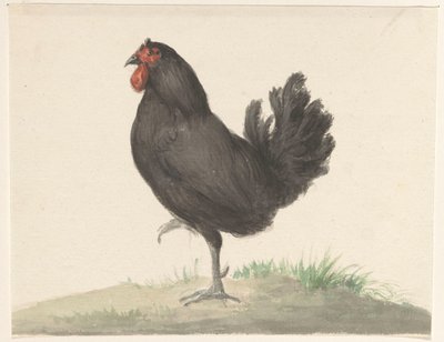 Álló fekete csirke alkotó: Jean Bernard