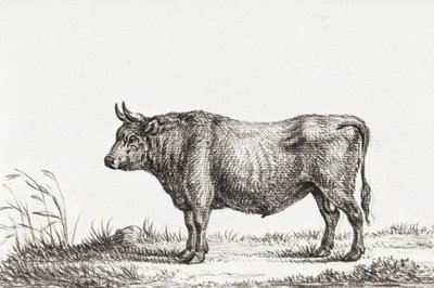 Álló Bika alkotó: Jean Bernard
