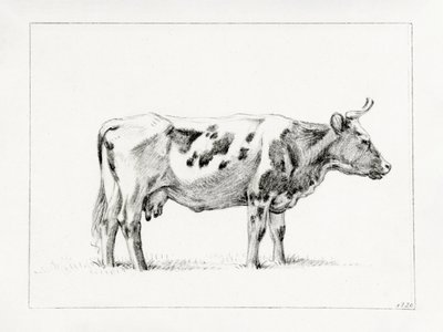 Álló tehén (1820) alkotó: Jean Bernard