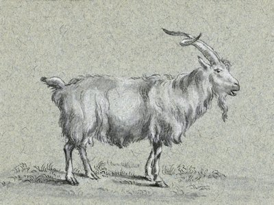 Álló kecske – Jean Bernard alkotó: Jean Bernard