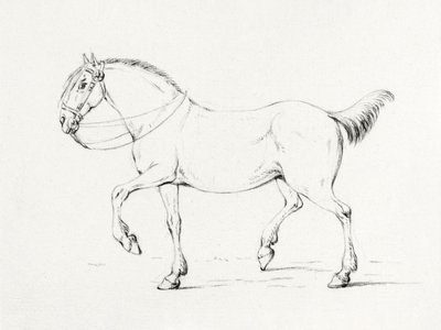 Lépő ló (1775–1833) alkotó: Jean Bernard
