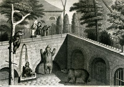 Medve barlang az állatkertben alkotó: Jean-Charles Werner