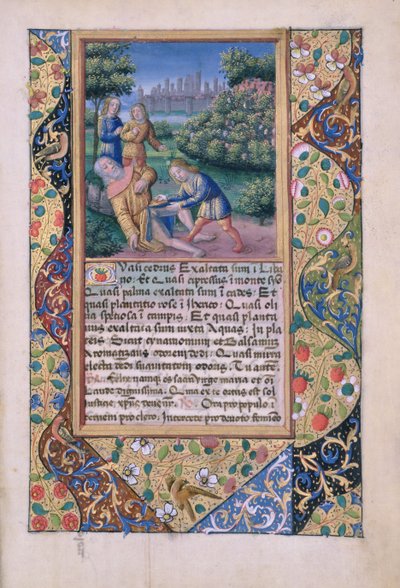 Ms Lat. Q.v.I.126 fol.17 Noé részegsége, Louis dOrleans óráinak könyvéből, 1490 alkotó: Jean Colombe