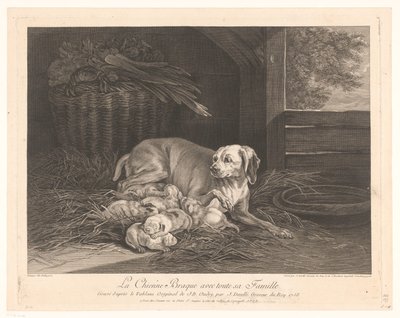 Bracke-hond met jongen in een stal A Braque kutya az egész családjával. (cím a tárgyon) alkotó: Jean Daullé