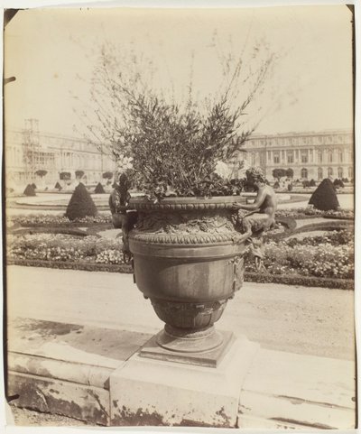Versailles, Ballin váza alkotó: Jean Eugène Auguste Atget