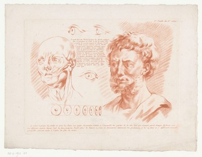 Két férfi feje és szeme különböző nézőpontokból 3.e Feuille du 8e Cahier. (cím a tételen) Az emberi test részeit tartalmazó kompozíciók (sorozat címe) Huitième Cahier de Principes de Design (sorozat címe) alkotó: Jean Francois Janinet
