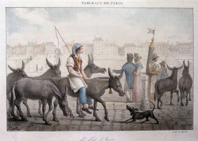 Korábbi utcai kereskedelem Párizsban: szamártej-kereskedő (Ane dans Paris) – Jean Henry Marlet (1771-1847) metszet a „Les Tableaux de Paris”-ban”, 72 nyomtatványból álló sorozat, 19. század vége alkotó: Jean Henri Marlet