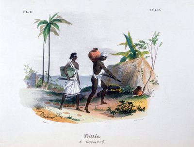 Tottis, 1828 alkotó: Jean Henri Marlet
