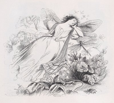 A szilf a Béranger teljes műveiből, 1836. alkotó: Jean Ignace Isidore Gérard