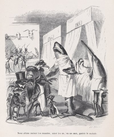 Meg fogjuk metszeni az izmokat, fűrészelni a csontokat, egyszóval meggyógyítani a betegeket Sc-ből..., kb. 1837-47. alkotó: Jean Ignace Isidore Gérard