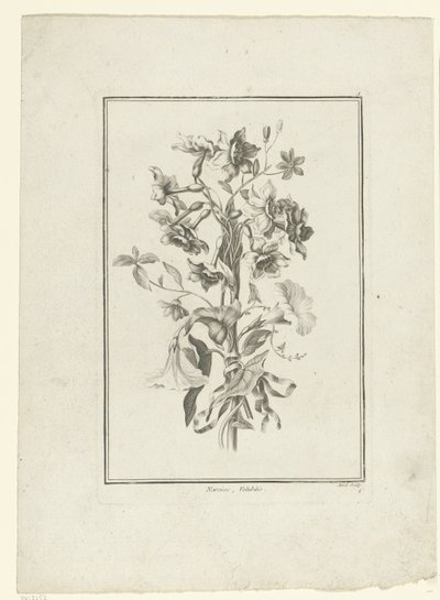 Csokor nárciszból és szálfűből Nárcisz, Volubilis (cím a tárgyon) IIe Cahier de Bouquets (sorozat címe) alkotó: Jean Jacques Avril (I)